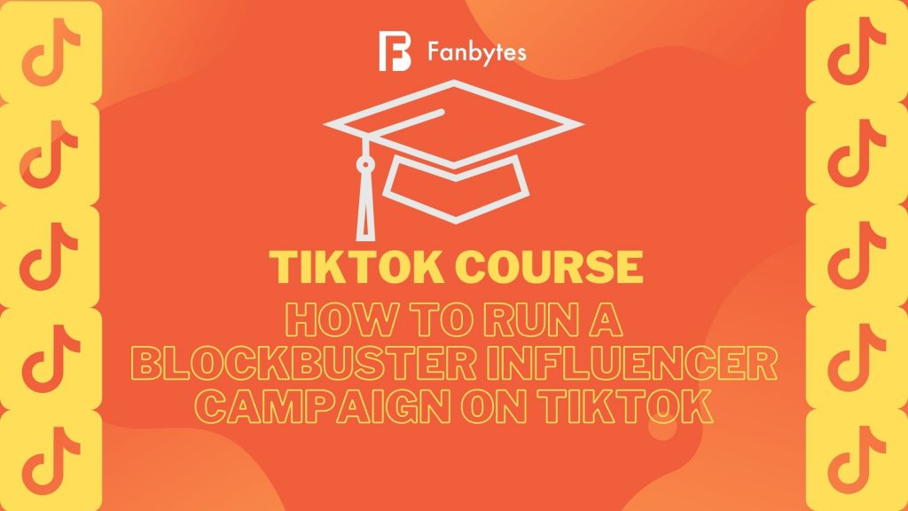 tiktok-influencer-campaigns