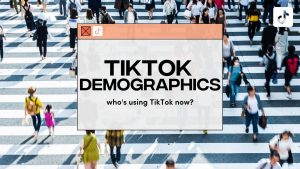 Fanbytes | TikTok demographics