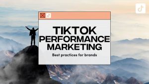 Fanbytes | TikTok performance marketing